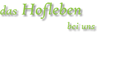 das Hofleben bei uns